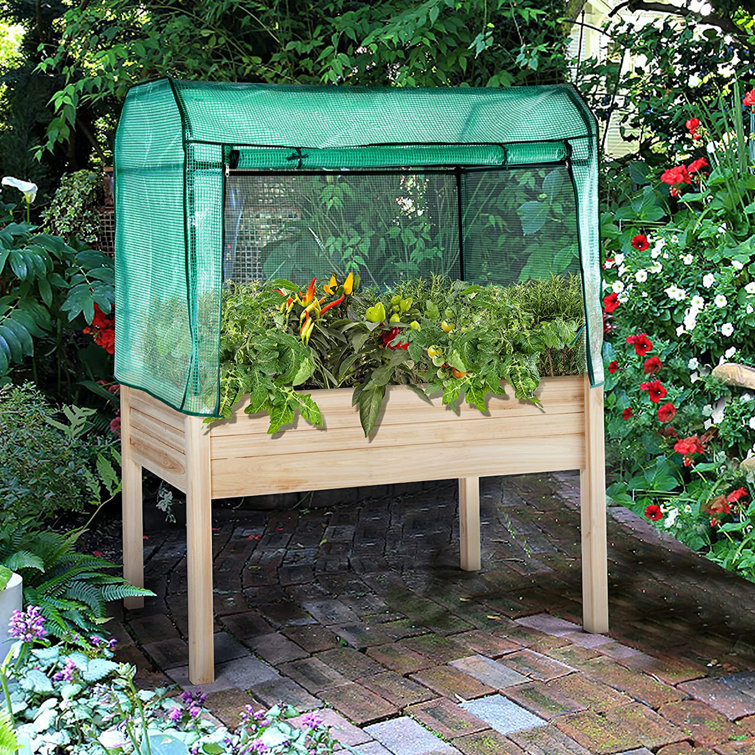Arlmont & Co. Raised Garden Bed For Planting Flower Vegetable Fruit